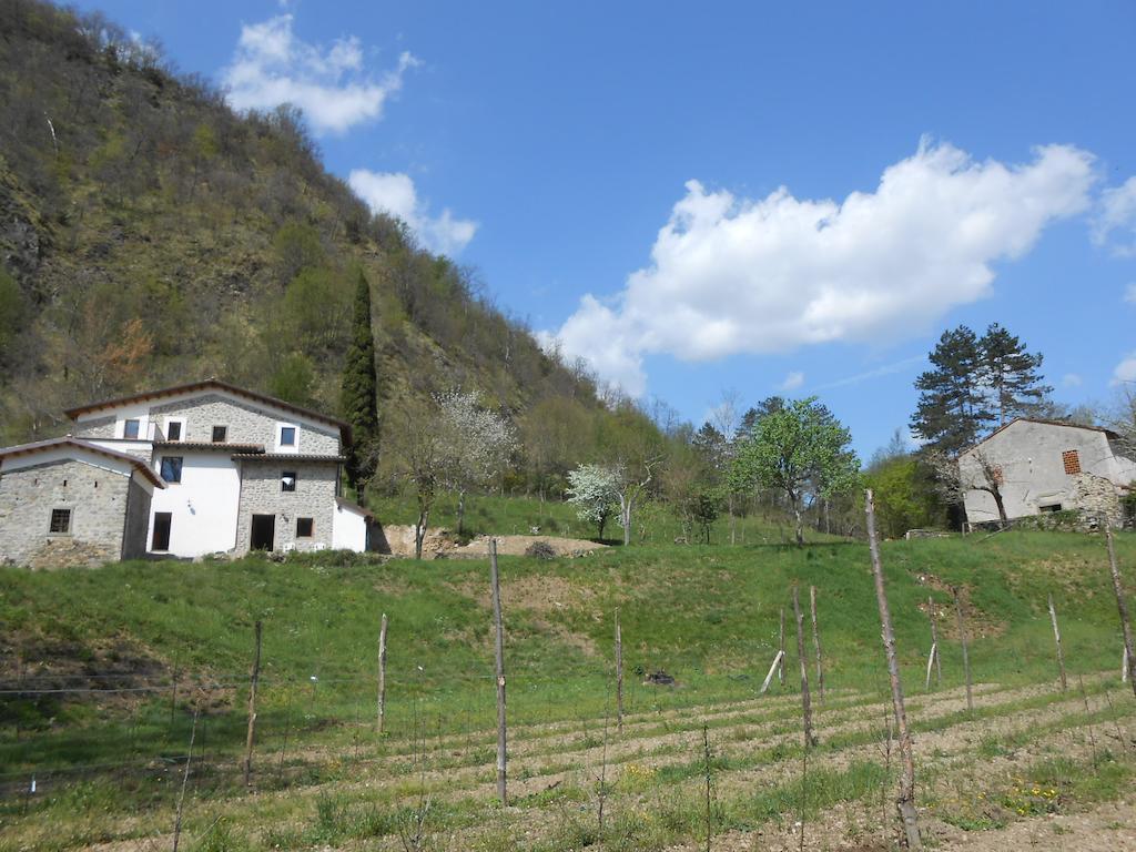 Agriturismo Di La Dall'Acqua فيفيزانو المظهر الخارجي الصورة