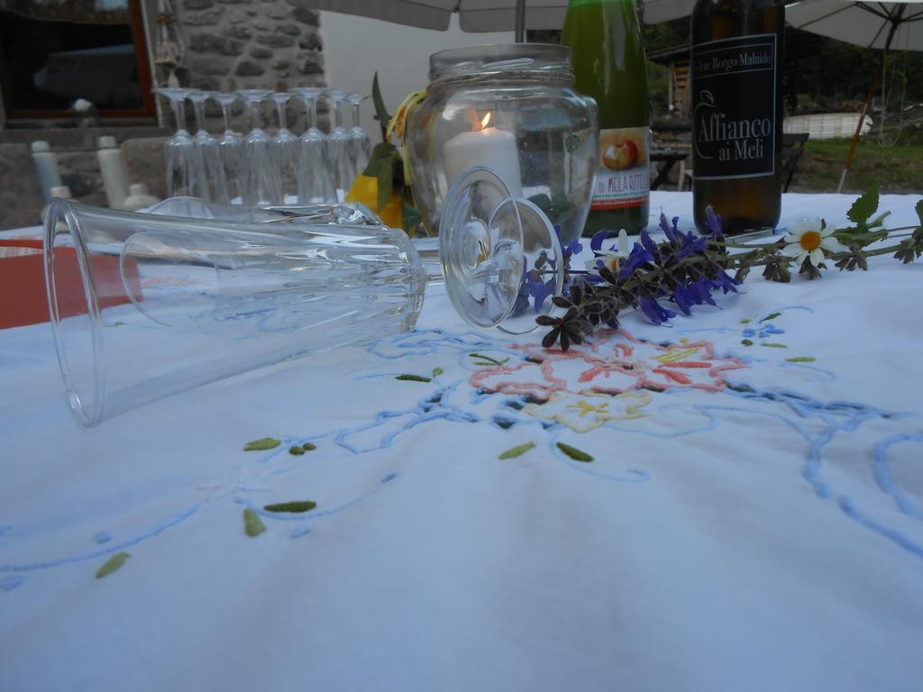 Agriturismo Di La Dall'Acqua فيفيزانو المظهر الخارجي الصورة