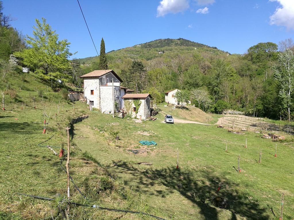 Agriturismo Di La Dall'Acqua فيفيزانو المظهر الخارجي الصورة