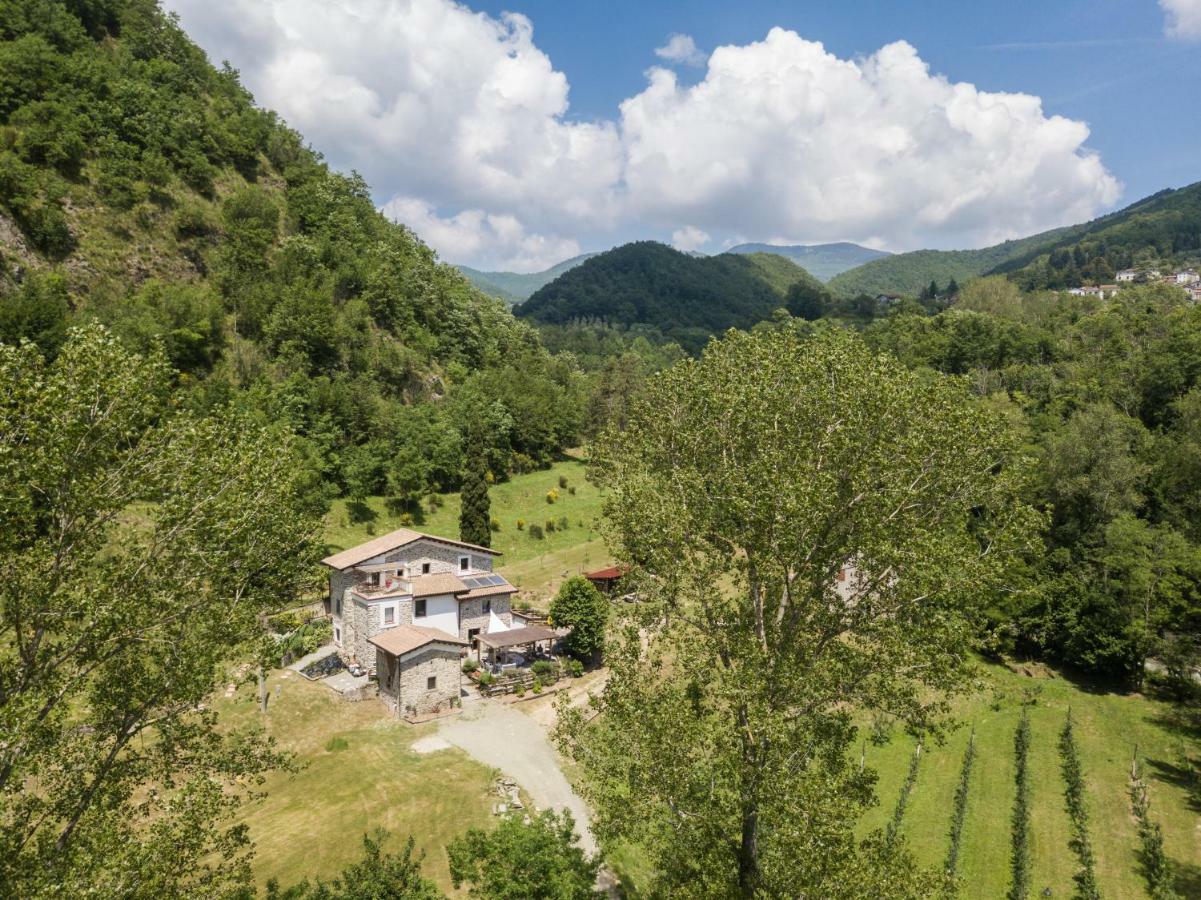 Agriturismo Di La Dall'Acqua فيفيزانو المظهر الخارجي الصورة