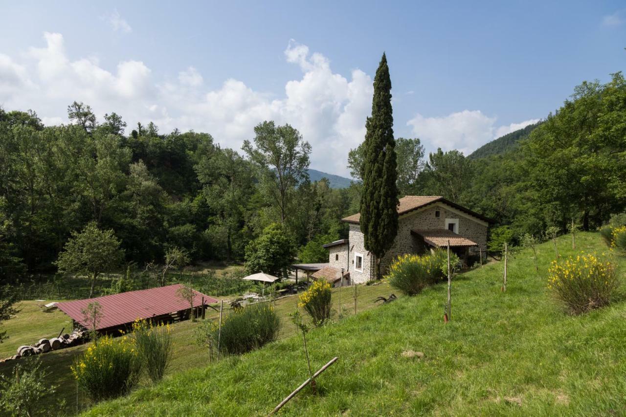 Agriturismo Di La Dall'Acqua فيفيزانو المظهر الخارجي الصورة