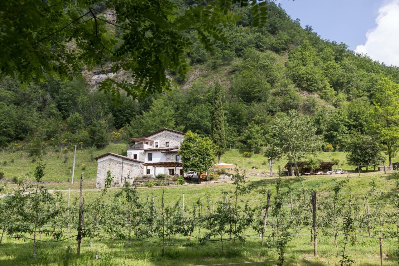 Agriturismo Di La Dall'Acqua فيفيزانو المظهر الخارجي الصورة