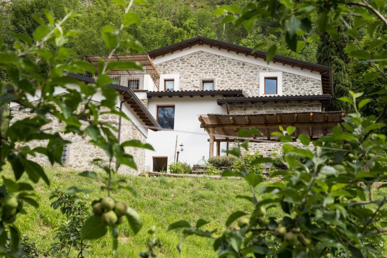Agriturismo Di La Dall'Acqua فيفيزانو المظهر الخارجي الصورة