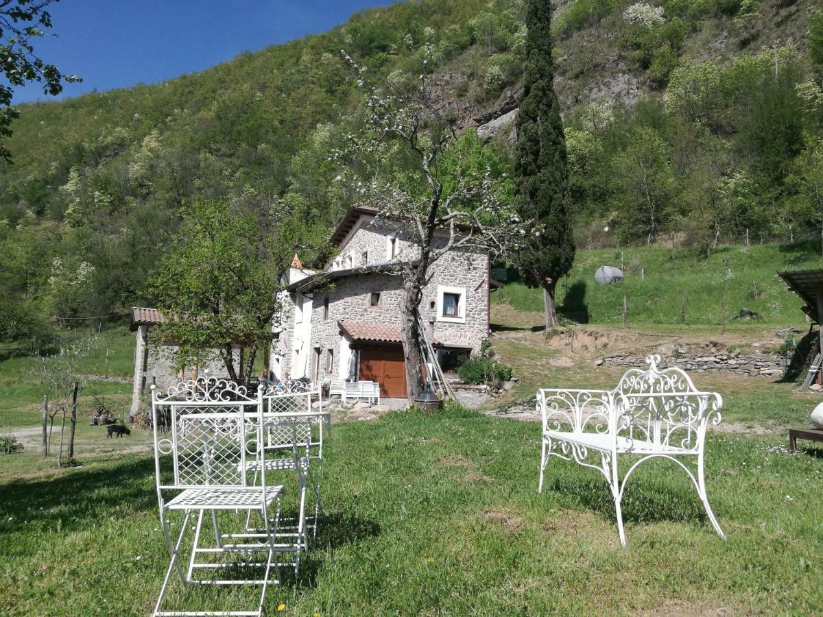 Agriturismo Di La Dall'Acqua فيفيزانو المظهر الخارجي الصورة