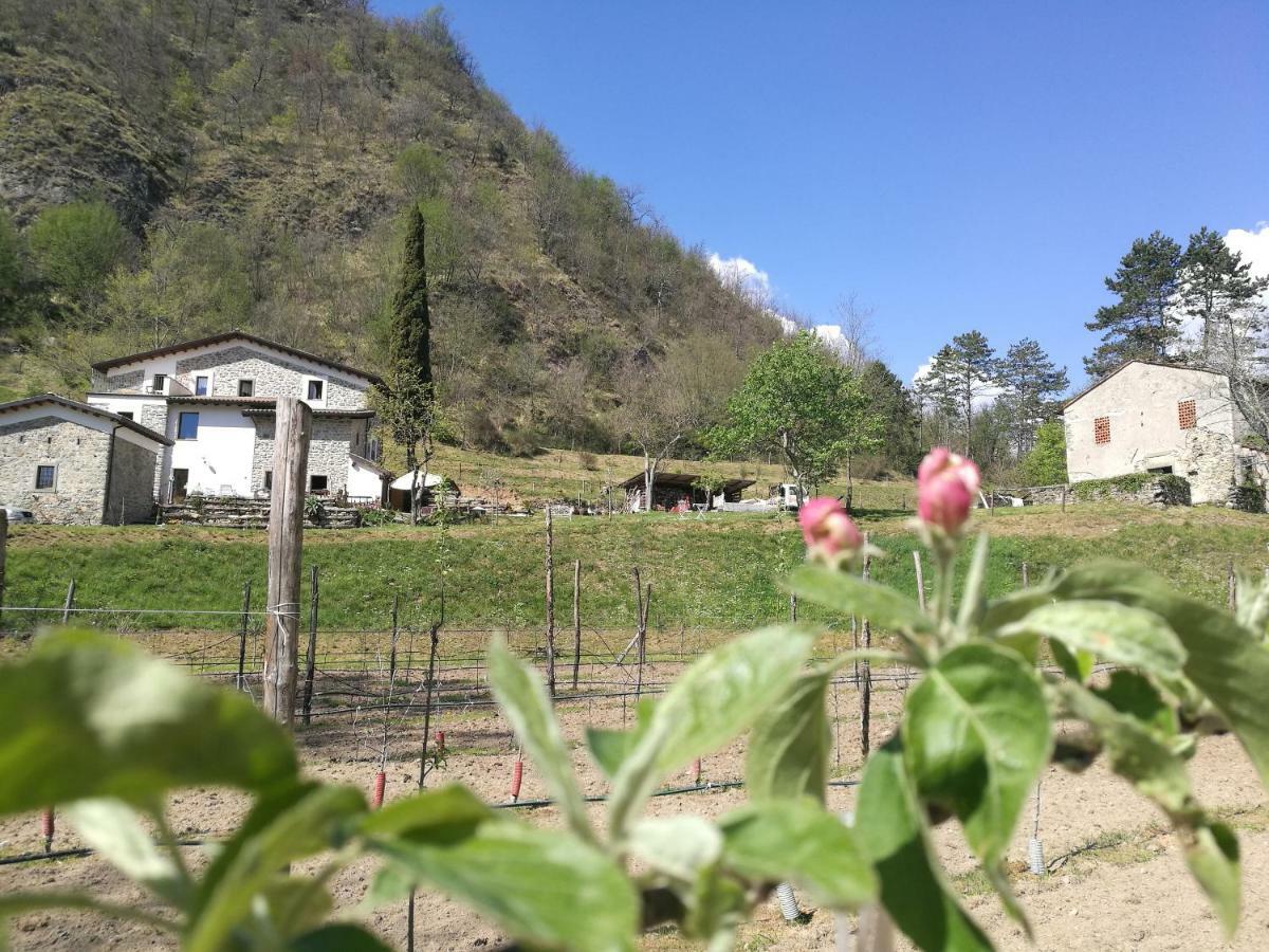 Agriturismo Di La Dall'Acqua فيفيزانو المظهر الخارجي الصورة